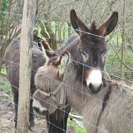 Elexburu Landa Turisticos Rurales * Bakio