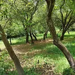 Elexburu Landa Turisticos Rurales Bakio