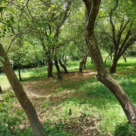Elexburu Landa Turisticos Rurales Бакио
